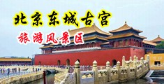 操肉丝大长腿网站免费观看中国北京-东城古宫旅游风景区